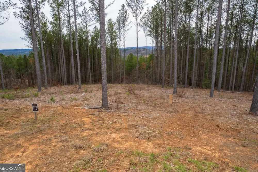 LOT 112 Blalock Mountain RD Talking Rock, GA 30175