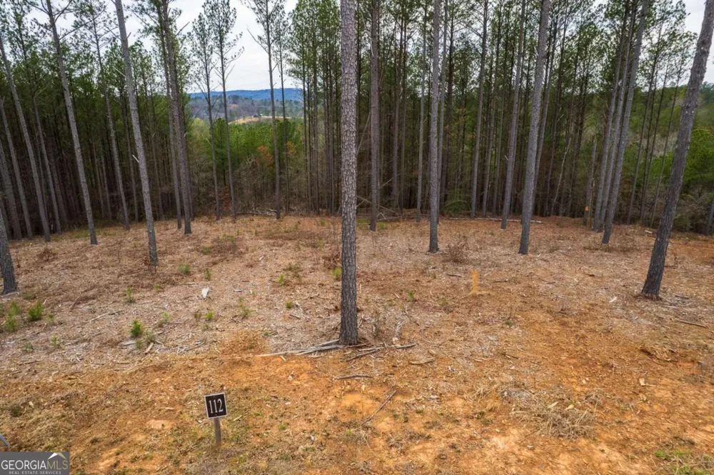 LOT 112 Blalock Mountain RD Talking Rock, GA 30175