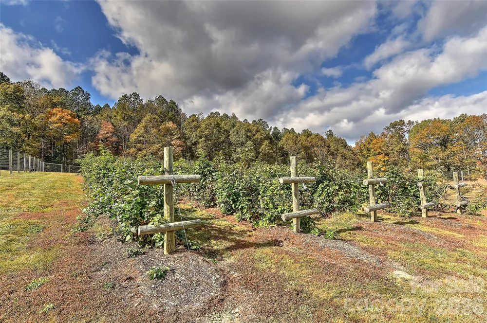 153 Badenyon Place Union Grove, NC 28689