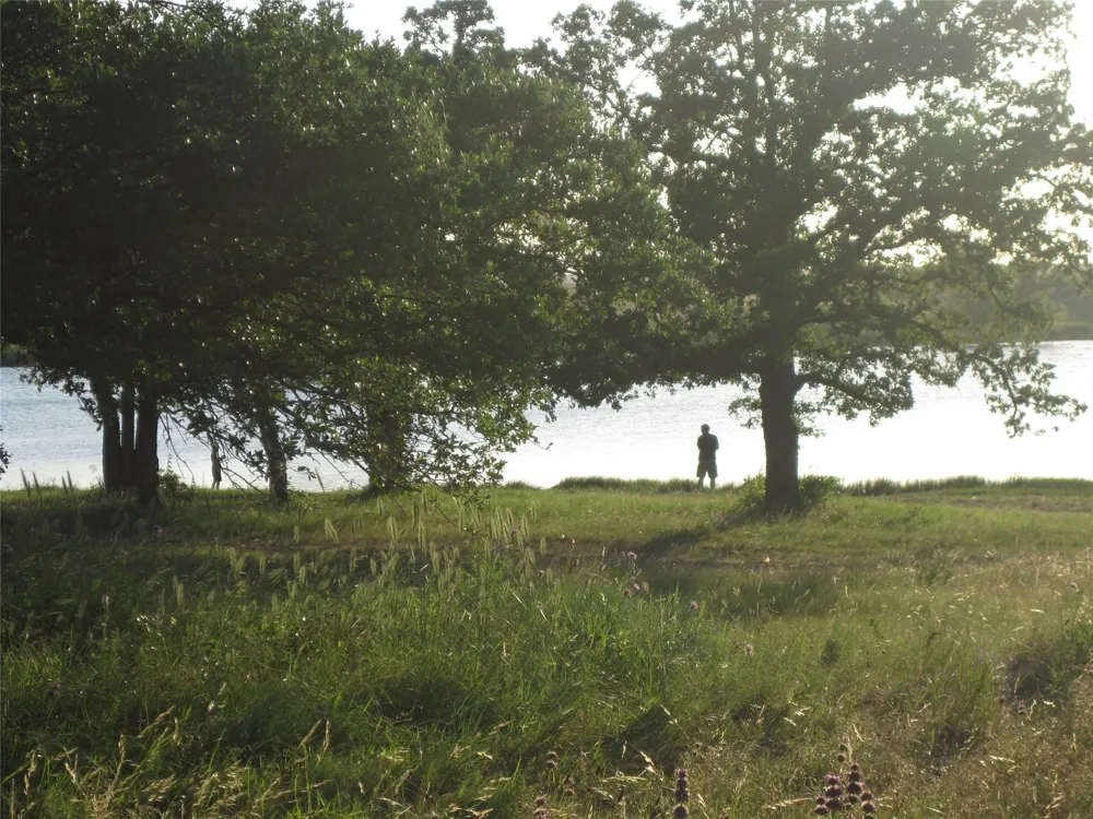Miller Creek Lake Road Paradise, TX 76073