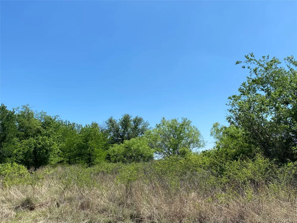 Miller Creek Lake Road Paradise, TX 76073