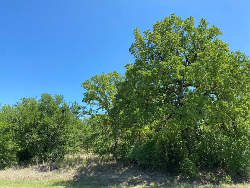 Miller Creek Lake Road Paradise, TX 76073