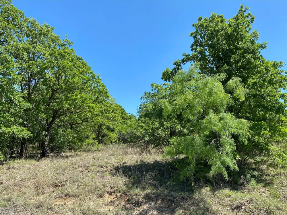 Miller Creek Lake Road Paradise, TX 76073
