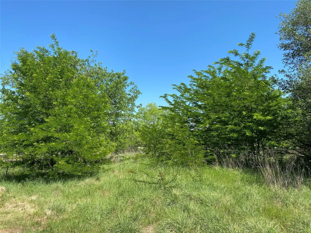 Miller Creek Lake Road Paradise, TX 76073