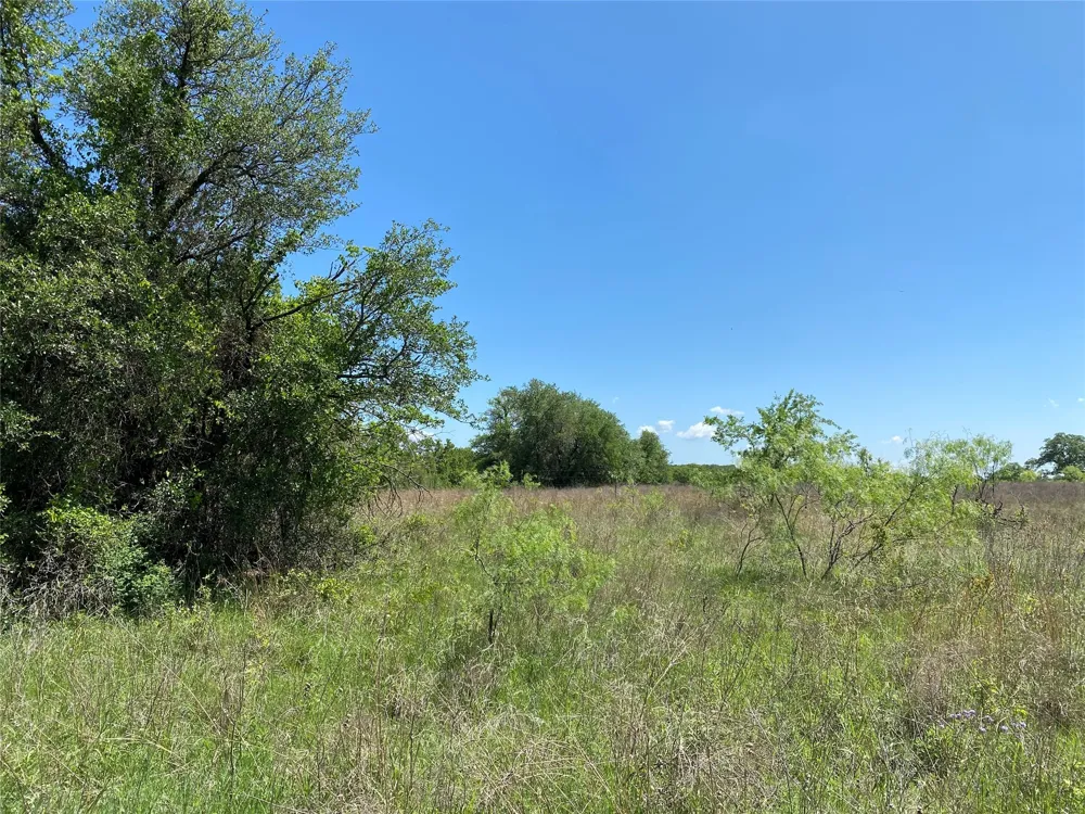 Miller Creek Lake Road Paradise, TX 76073