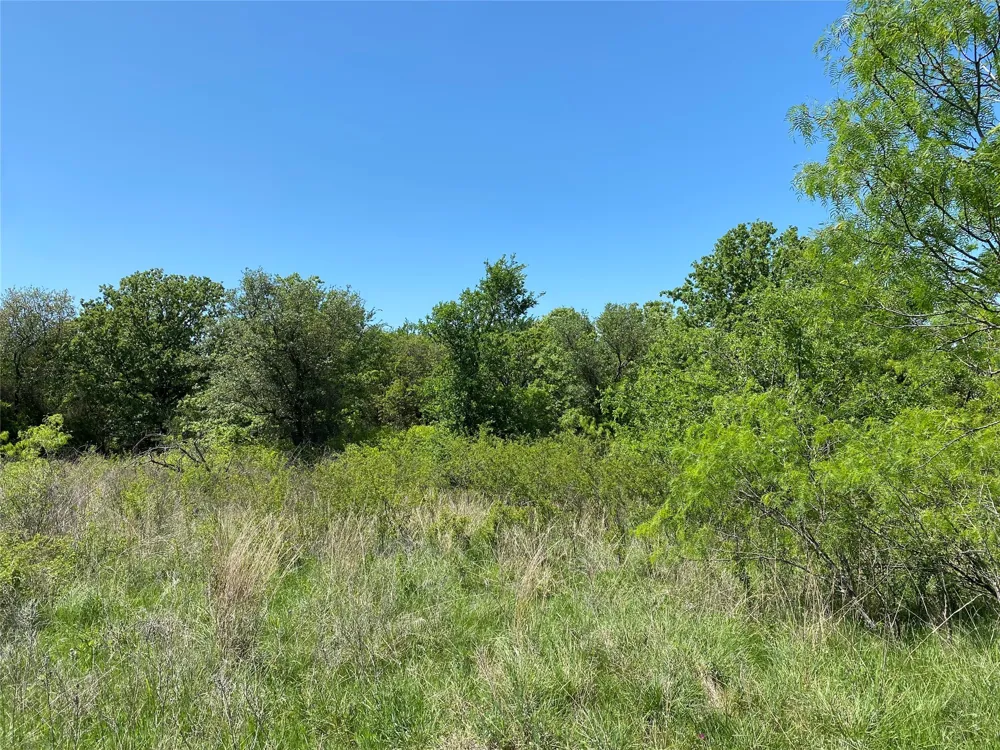 Miller Creek Lake Road Paradise, TX 76073