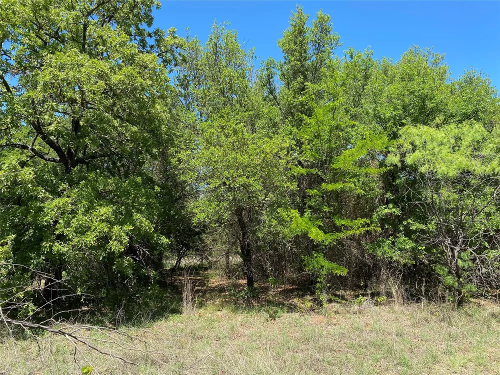 Miller Creek Lake Road Paradise, TX 76073