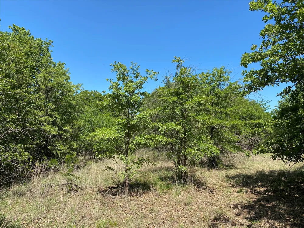 Miller Creek Lake Road Paradise, TX 76073