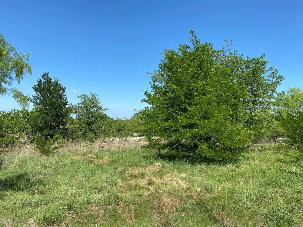 Miller Creek Lake Road Paradise, TX 76073