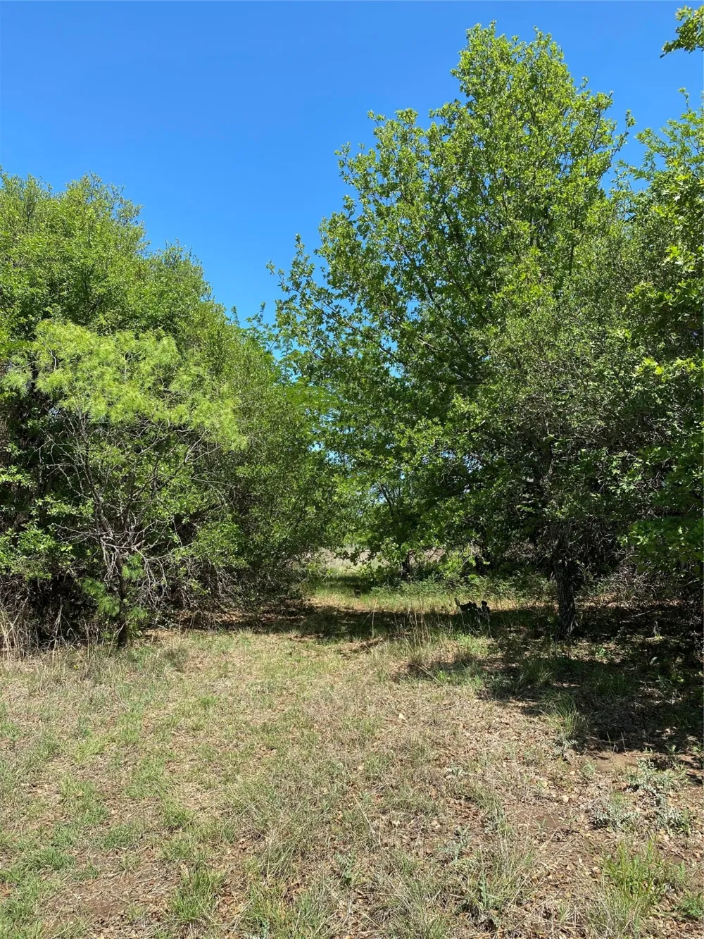 Miller Creek Lake Road Paradise, TX 76073