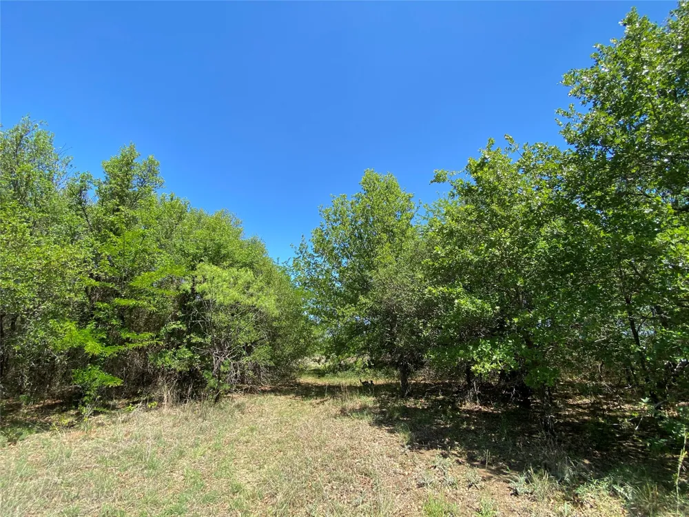 Miller Creek Lake Road Paradise, TX 76073
