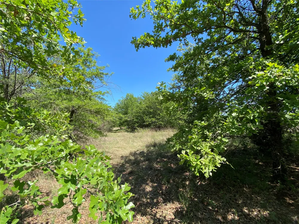 Miller Creek Lake Road Paradise, TX 76073