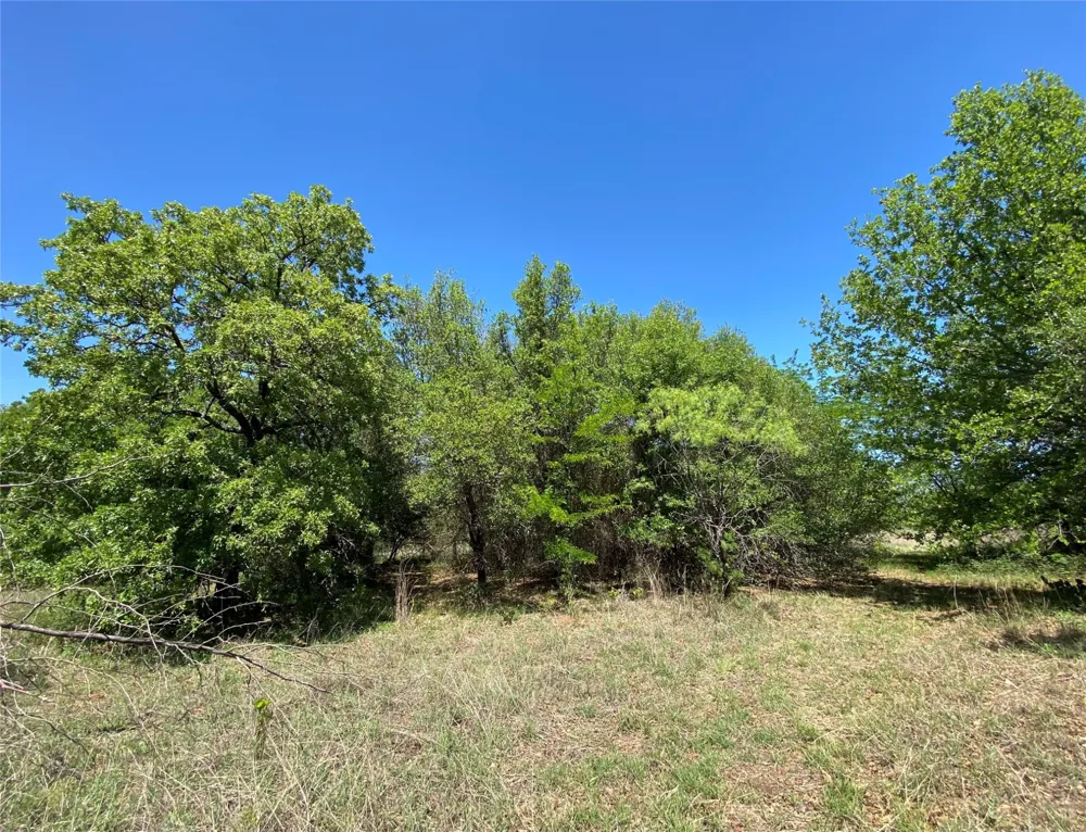 Miller Creek Lake Road Paradise, TX 76073