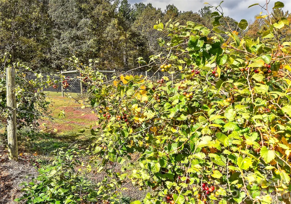 153 Badenyon Place Union Grove, NC 28689
