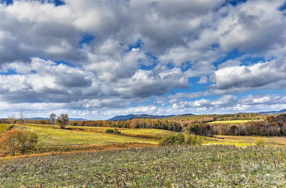 153 Badenyon Place Union Grove, NC 28689