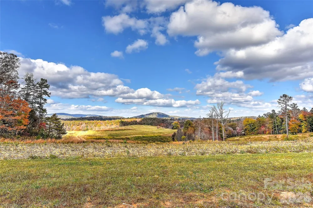 153 Badenyon Place Union Grove, NC 28689