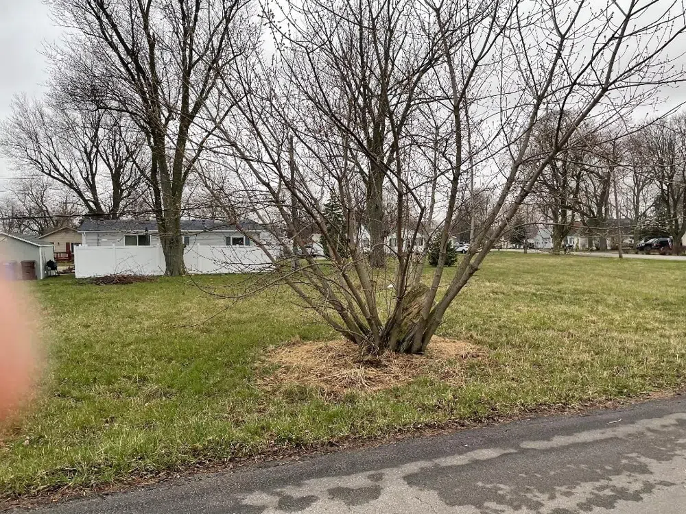 3RD STREET Frenchtown Township, MI 48166