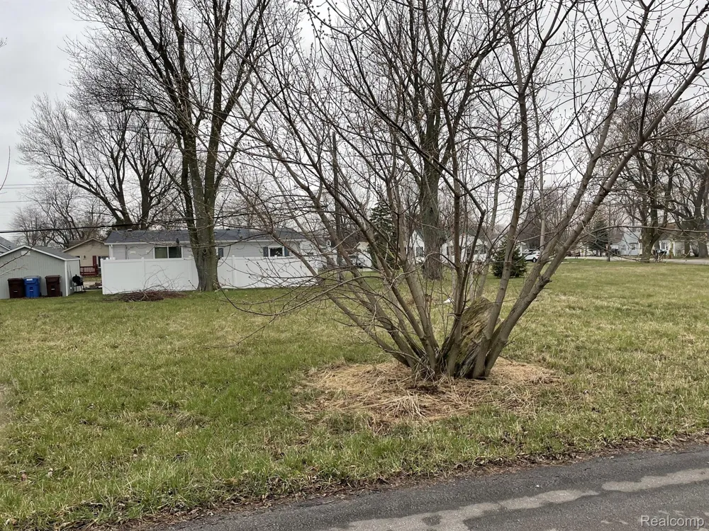 3RD STREET Frenchtown Township, MI 48166