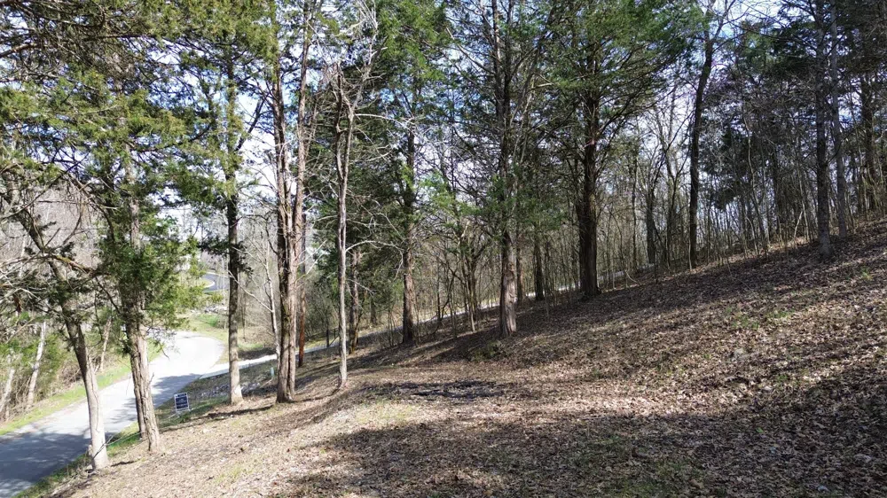 87 Harbor Pointe Dr Silver Point, TN 38582