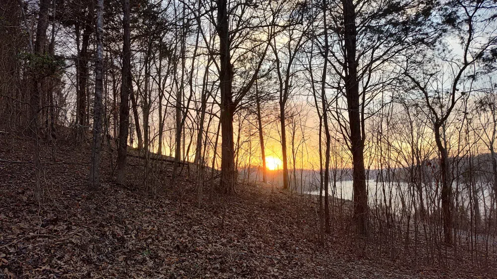 87 Harbor Pointe Dr Silver Point, TN 38582