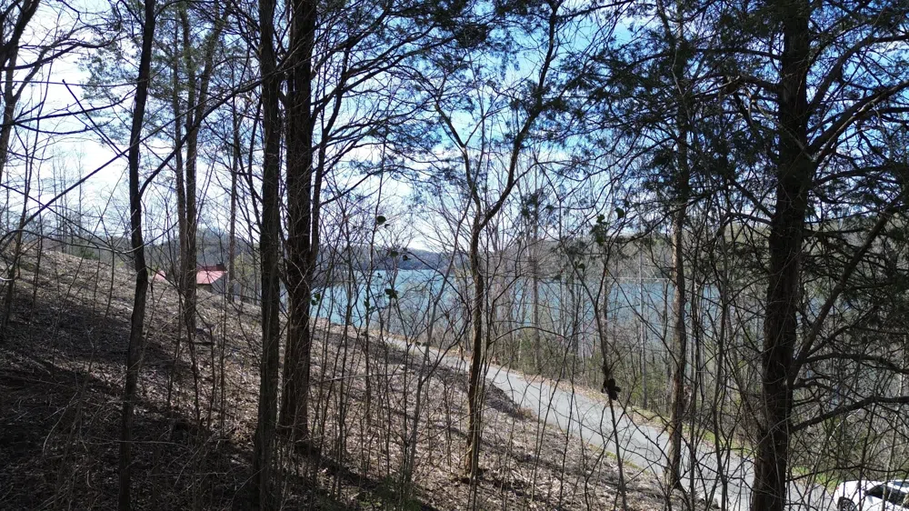 87 Harbor Pointe Dr Silver Point, TN 38582
