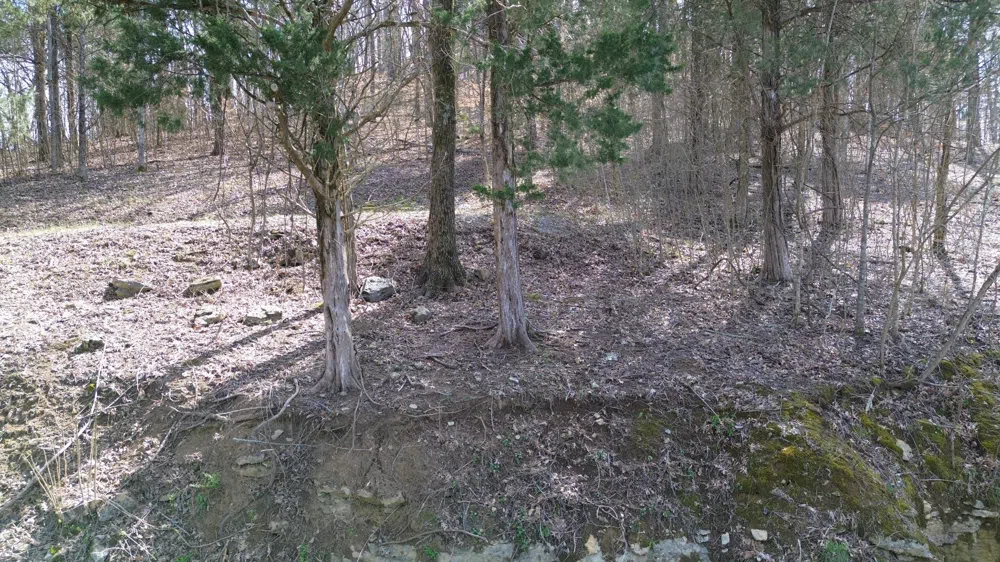 87 Harbor Pointe Dr Silver Point, TN 38582