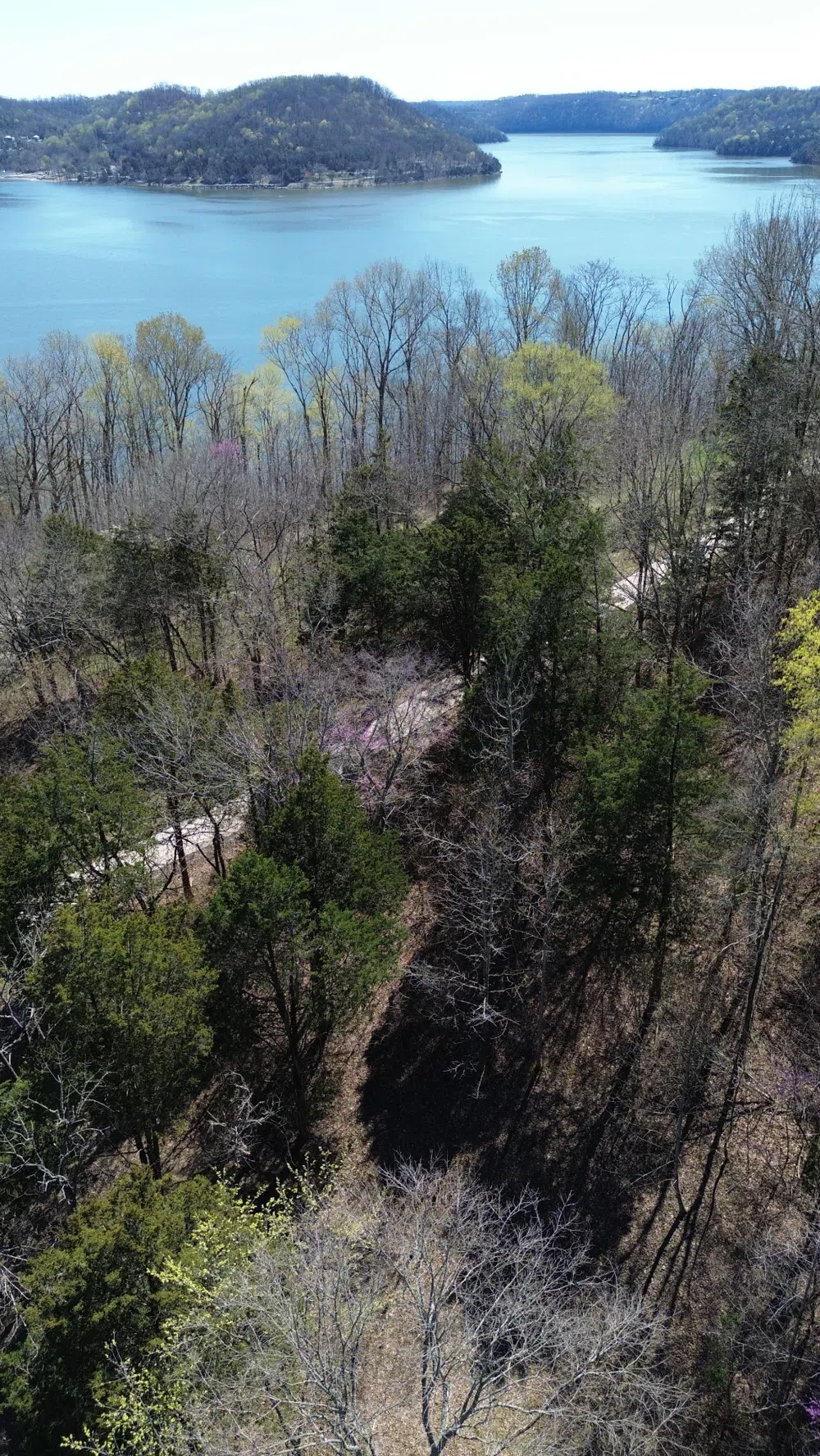 87 Harbor Pointe Dr Silver Point, TN 38582