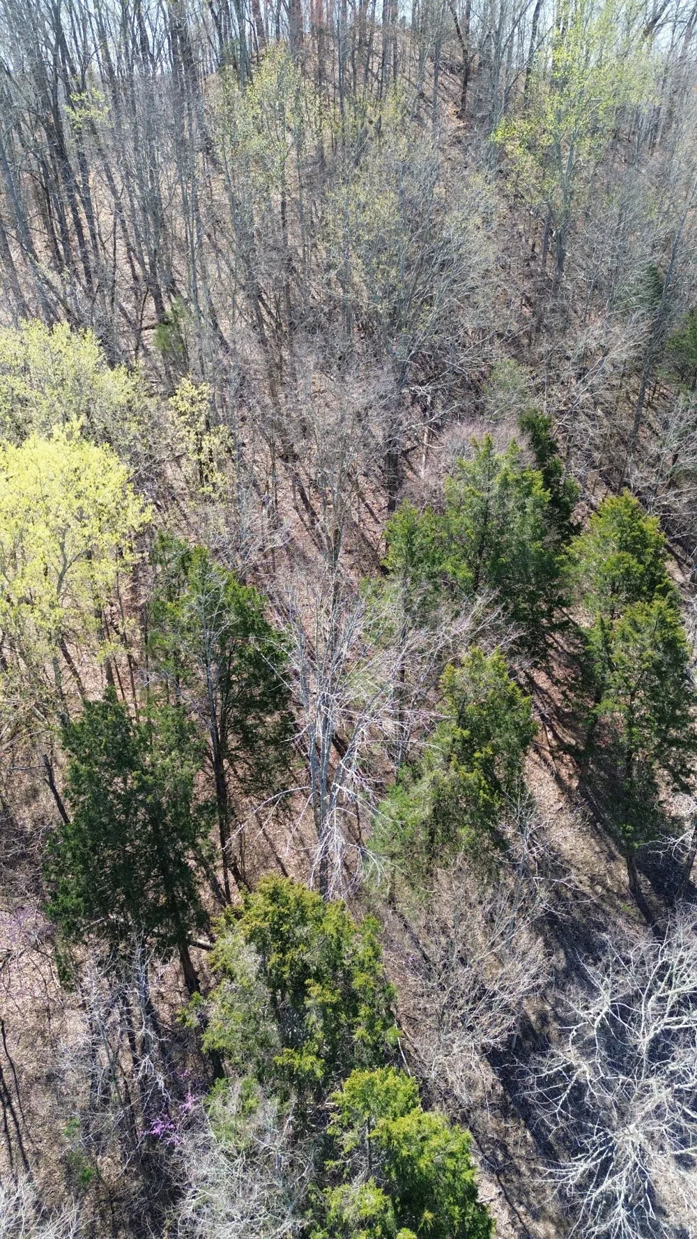 87 Harbor Pointe Dr Silver Point, TN 38582