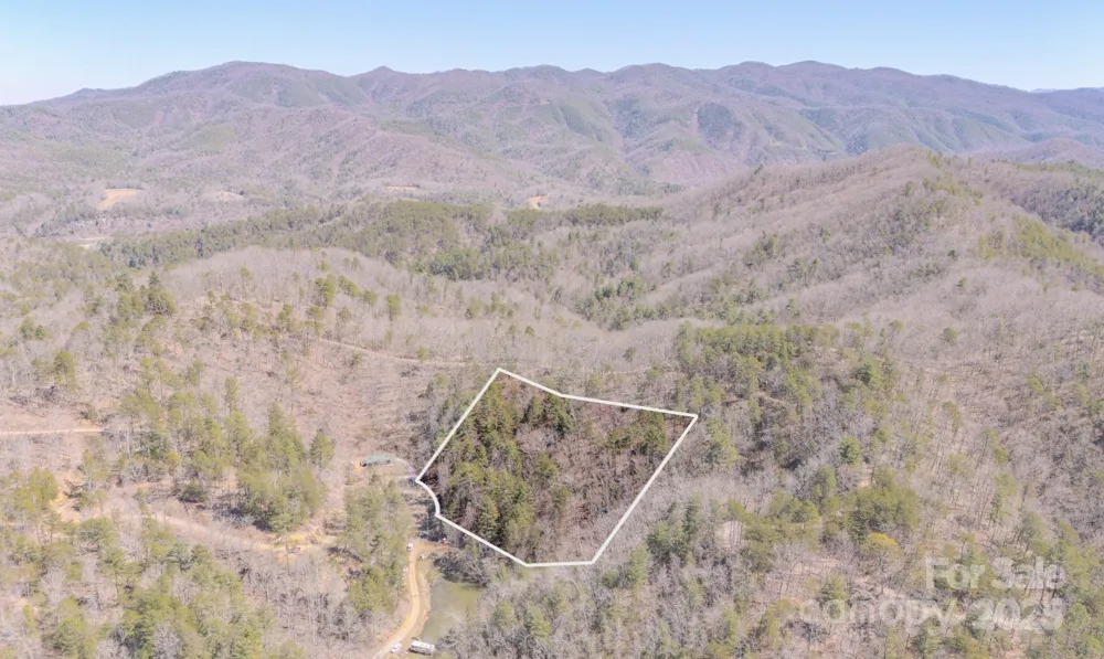 TBD Plum Tree Holler Drive Hot Springs, NC 28743