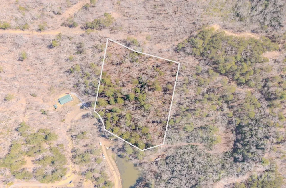 TBD Plum Tree Holler Drive Hot Springs, NC 28743