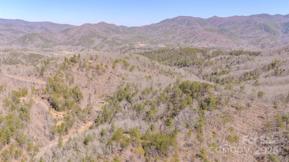 TBD Plum Tree Holler Drive Hot Springs, NC 28743