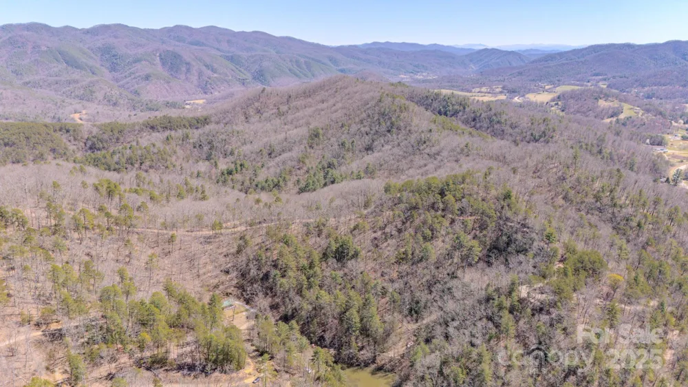 TBD Plum Tree Holler Drive Hot Springs, NC 28743