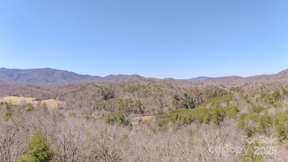 TBD Plum Tree Holler Drive Hot Springs, NC 28743