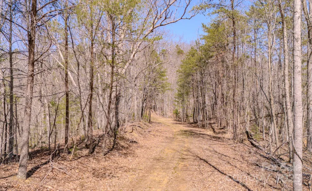 TBD Plum Tree Holler Drive Hot Springs, NC 28743