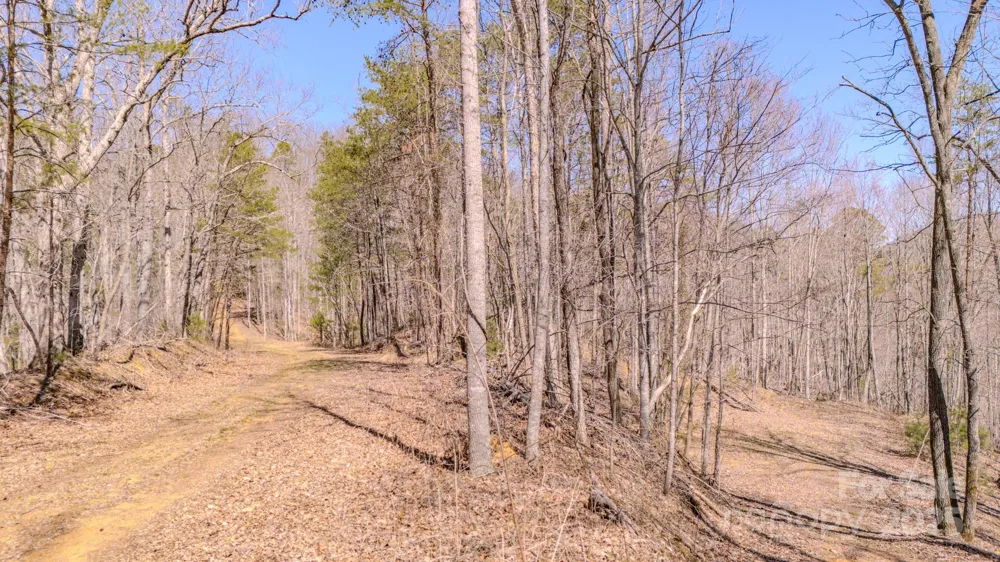 TBD Plum Tree Holler Drive Hot Springs, NC 28743