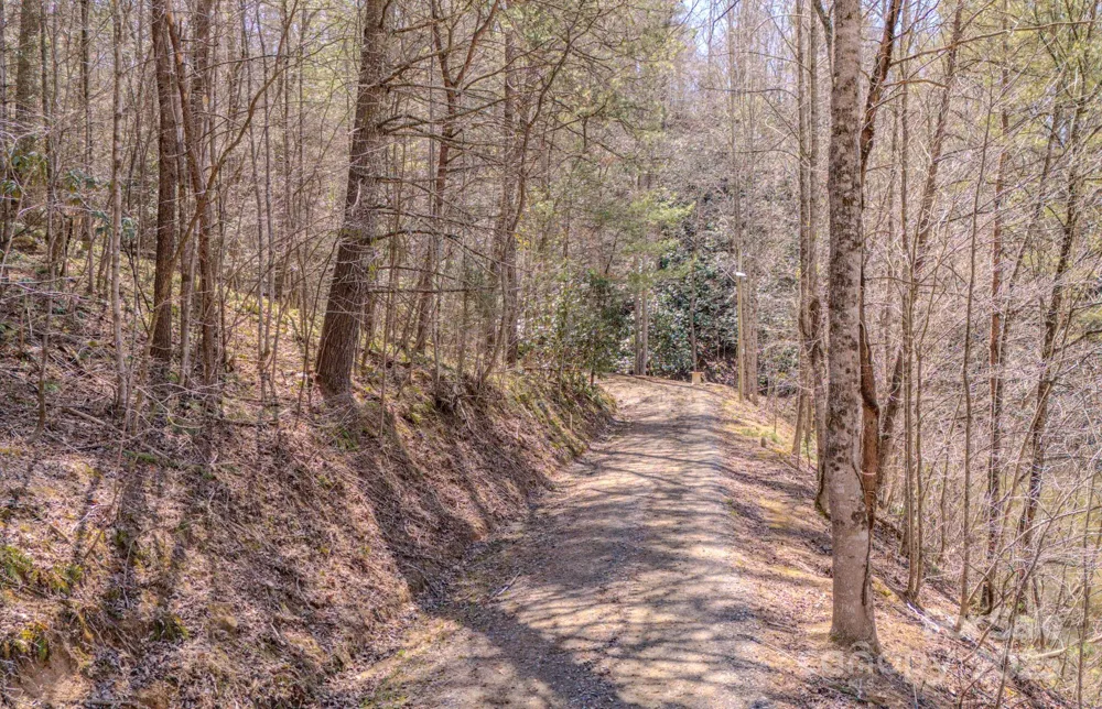 TBD Plum Tree Holler Drive Hot Springs, NC 28743