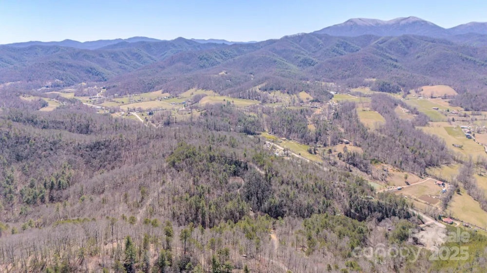 TBD Plum Tree Holler Drive Hot Springs, NC 28743