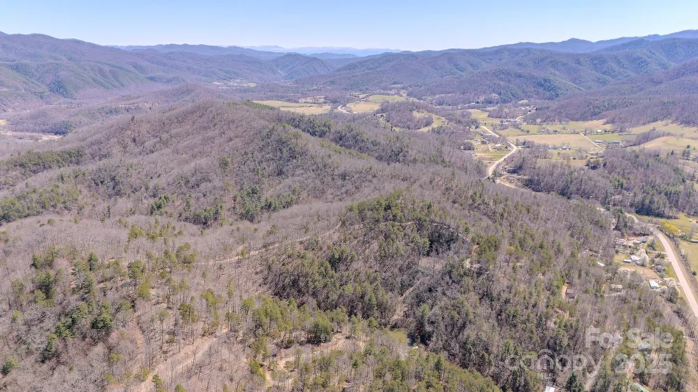 TBD Plum Tree Holler Drive Hot Springs, NC 28743