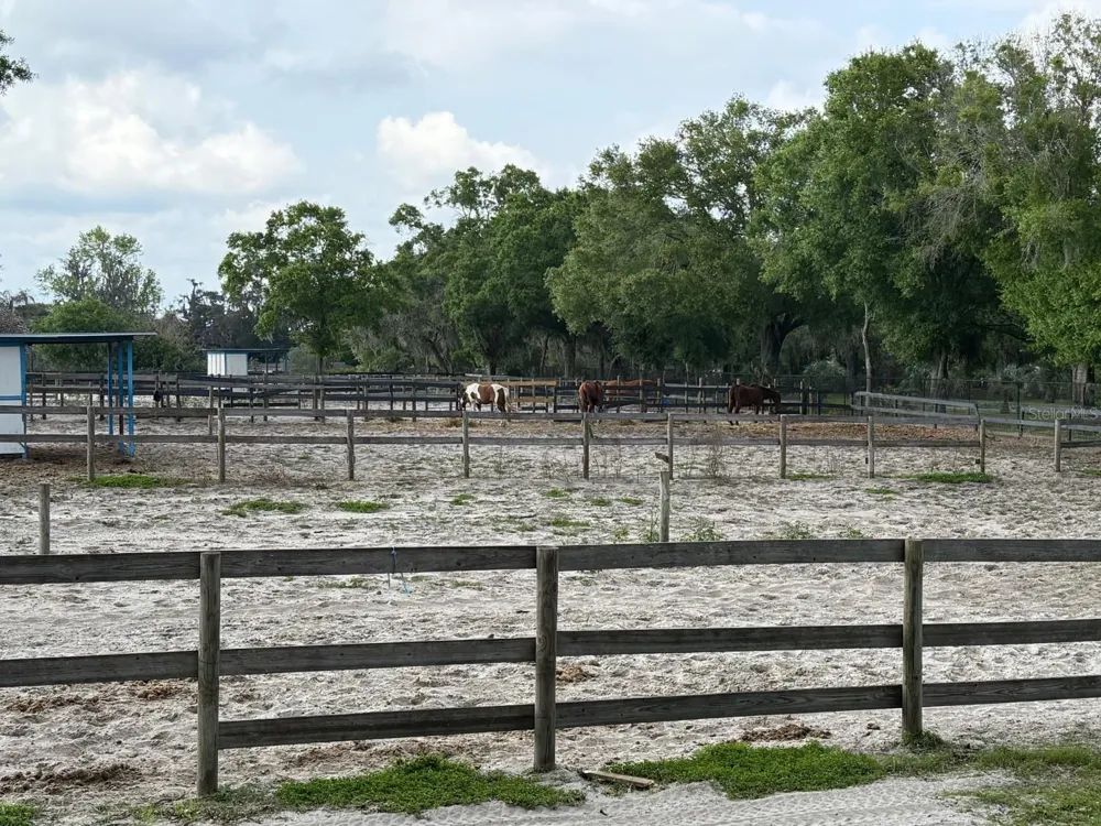 16315 MCGLAMERY ROAD Odessa, FL 33556