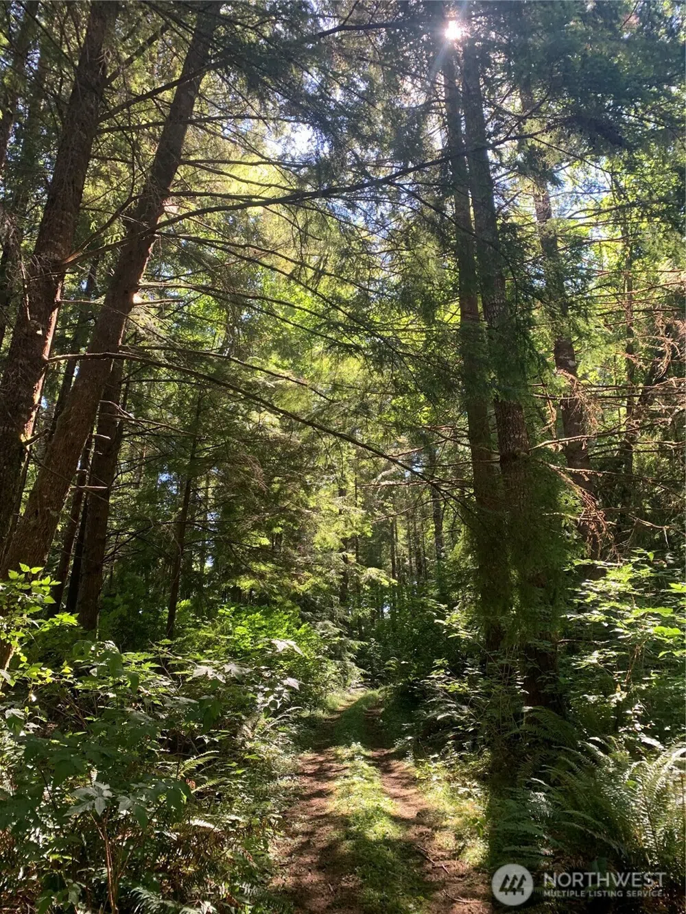 285 Parpala Road Naselle, WA 98638
