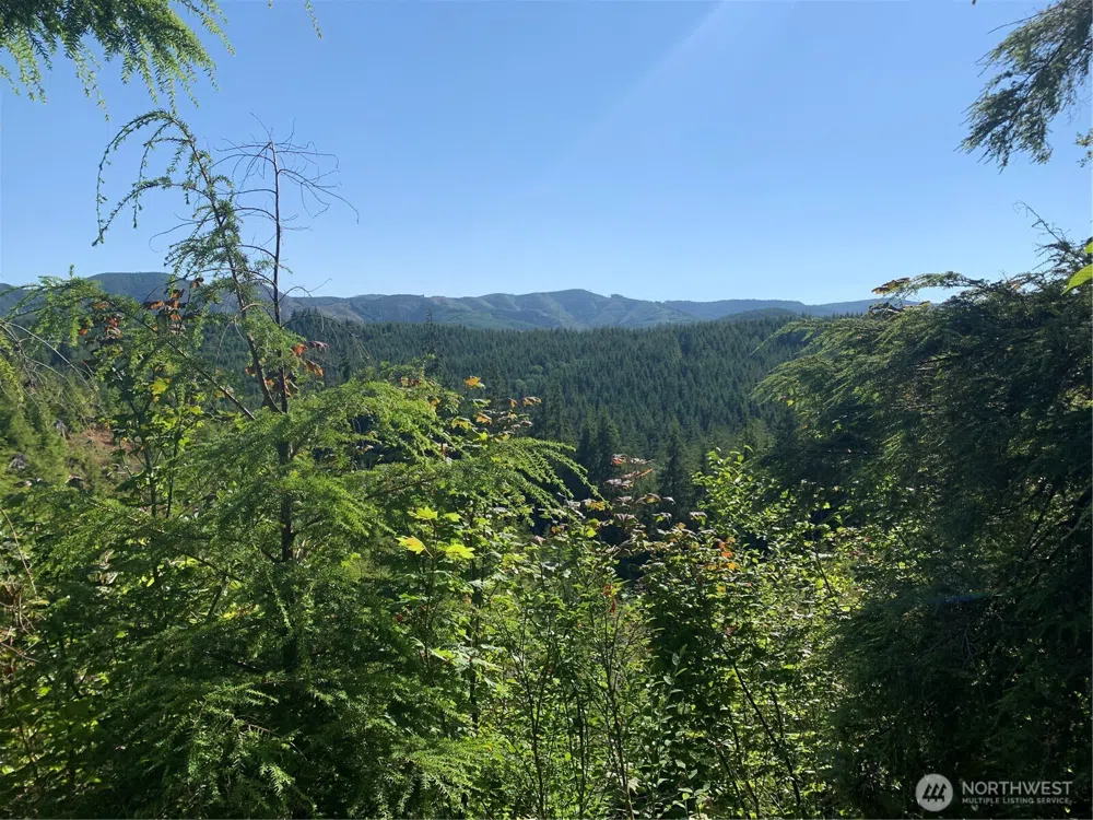 285 Parpala Road Naselle, WA 98638