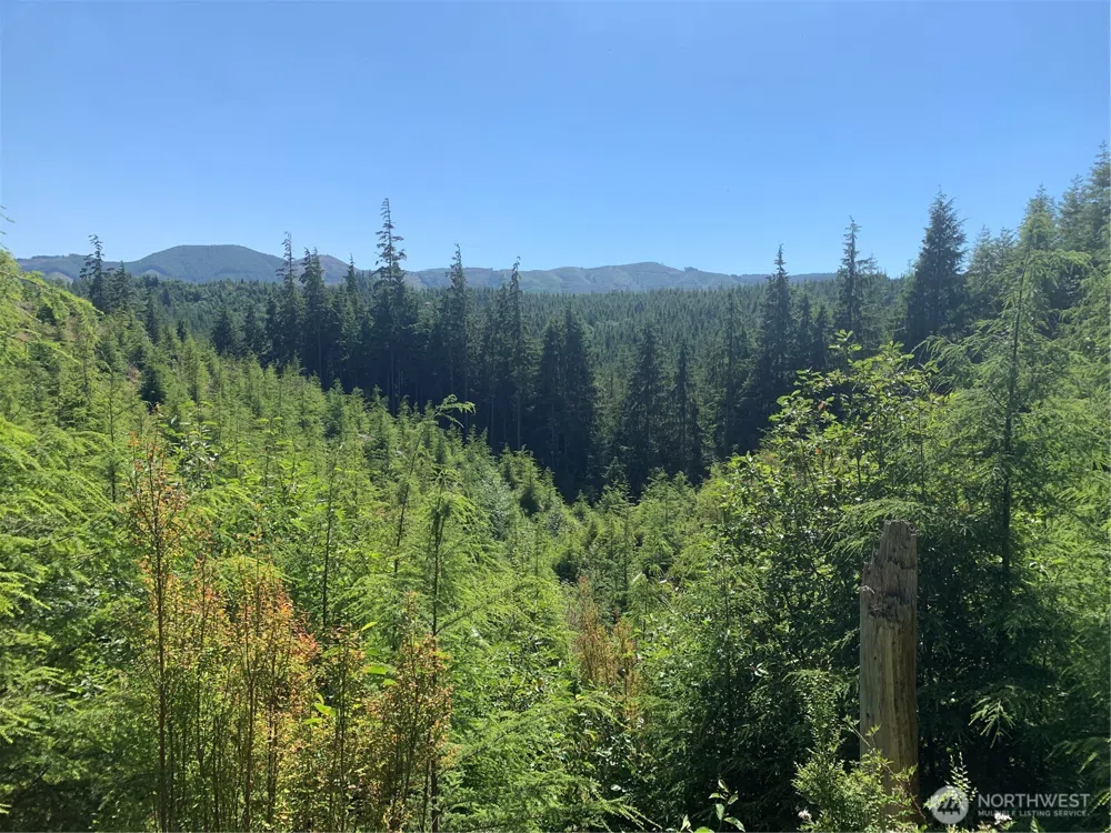 285 Parpala Road Naselle, WA 98638