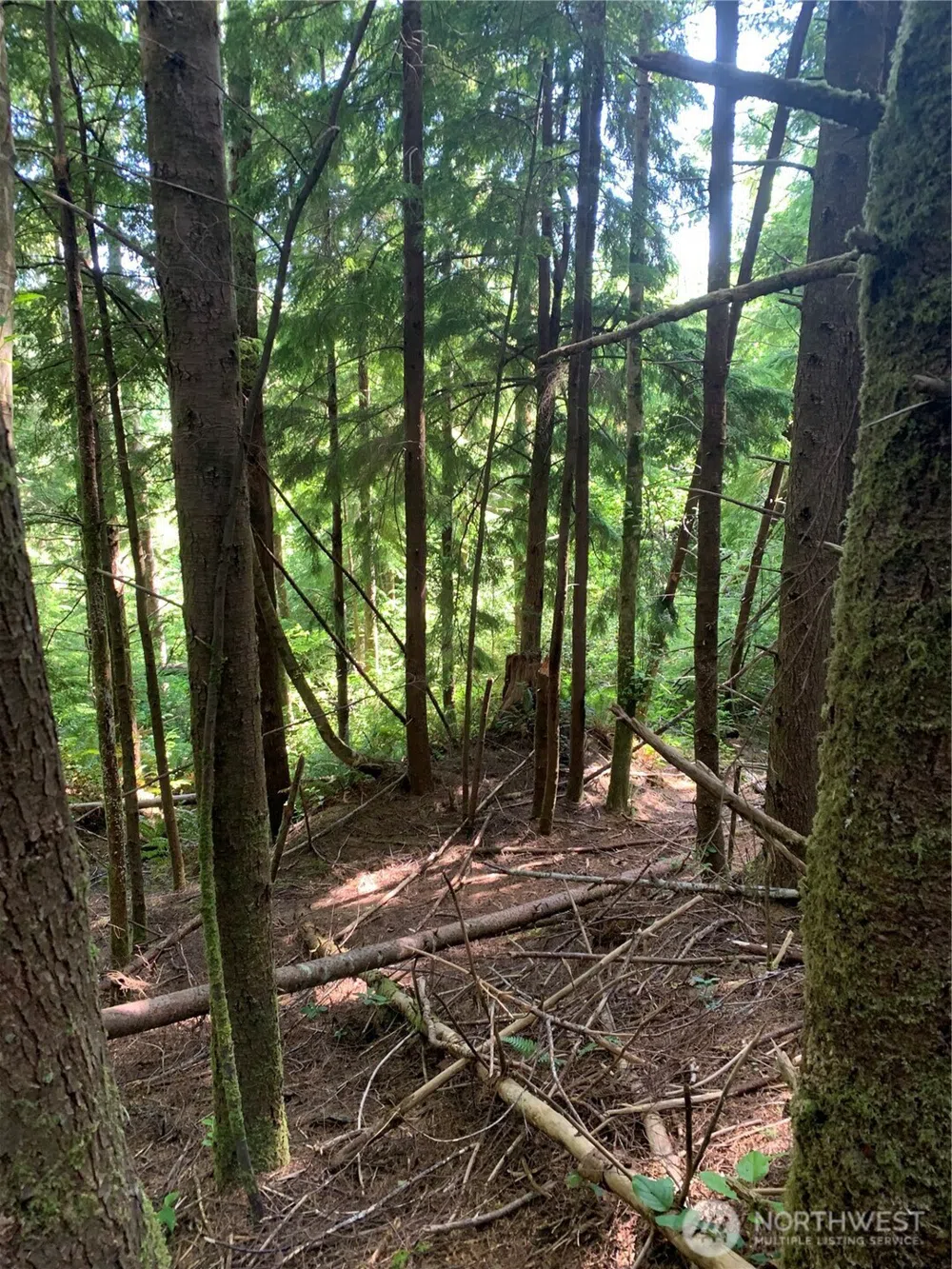 285 Parpala Road Naselle, WA 98638
