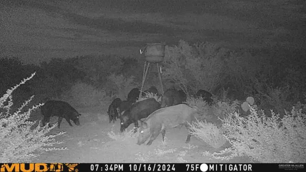 0000 US Highway 83 Zapata, TX 78076
