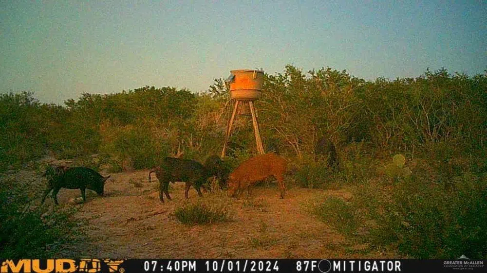 0000 US Highway 83 Zapata, TX 78076