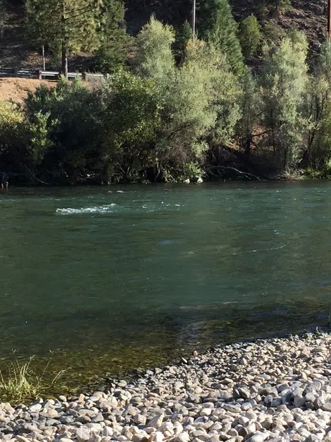 2512 Goose Ranch Road Lewiston, CA 96052