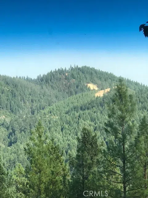 2512 Goose Ranch Road Lewiston, CA 96052