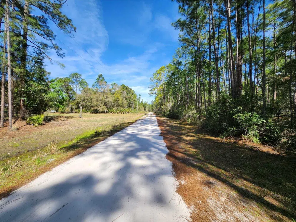 114 MOSSWOOD STREET Georgetown, FL 32139