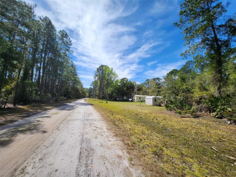 114 MOSSWOOD STREET Georgetown, FL 32139