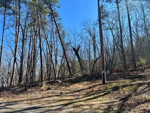 125 Gum Wood Court
